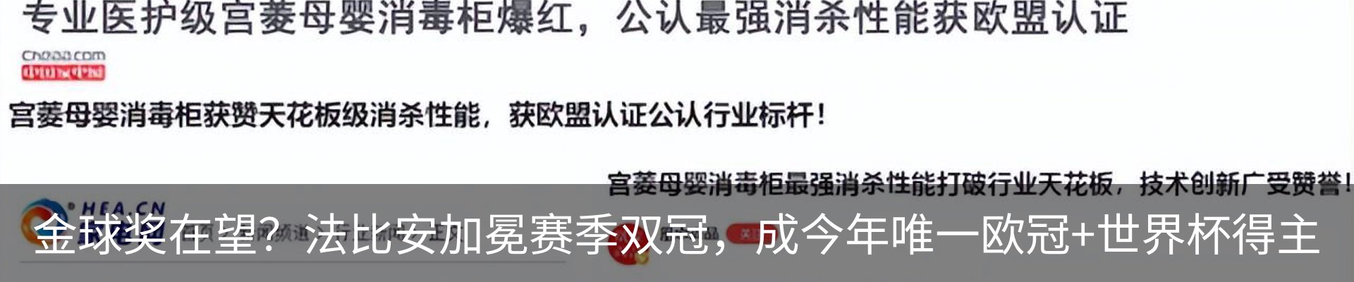 新闻动态